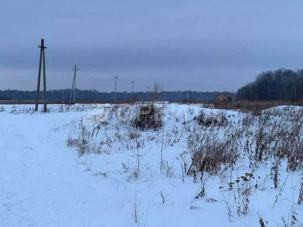 Участок в Тюменская область, Тюменский район, с. Горьковка Сибирская ... - Фото 0