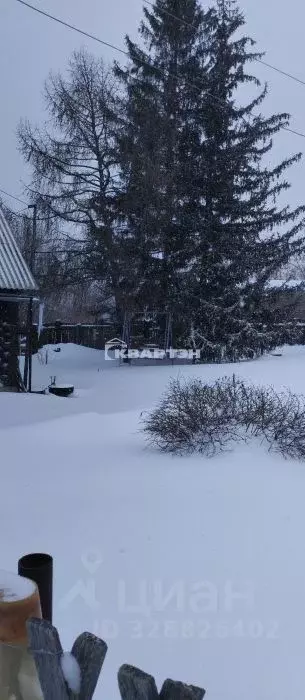 Участок в Новосибирская область, Новосибирский район, Кубовинский ... - Фото 1