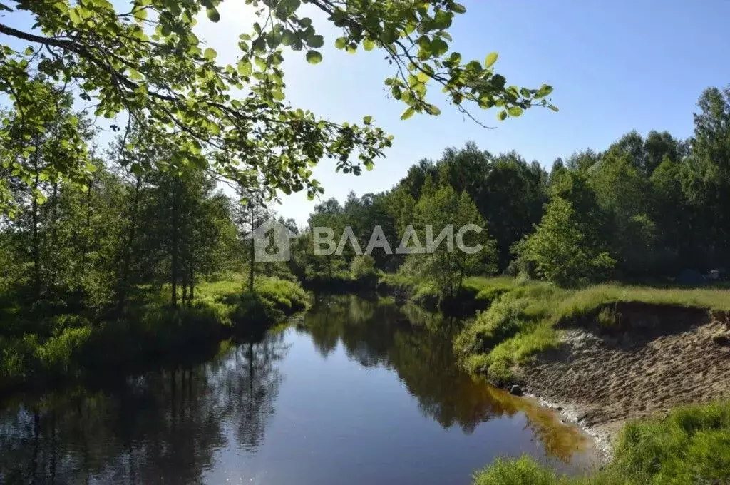 Участок в Владимирская область, Судогодский район, Лавровское ... - Фото 1