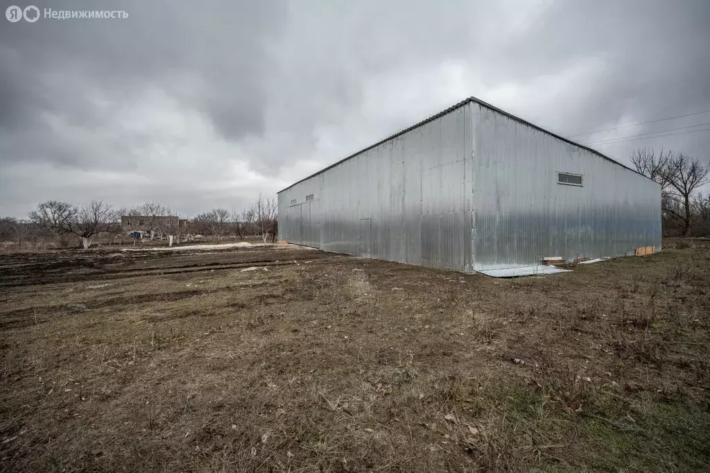 Помещение свободного назначения (500 м) - Фото 0