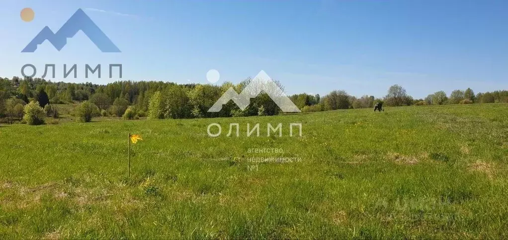 Участок в Вологодская область, д. Меники  (29.95 сот.) - Фото 1