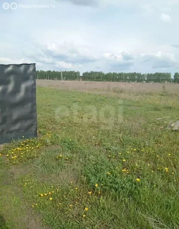 Участок в село Хохлово, Солнечная улица (15 м) - Фото 1