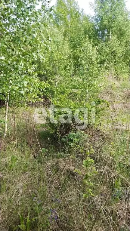 Участок в Красноярский край, Красноярск Родничок СНТ,  (6.0 сот.) - Фото 0