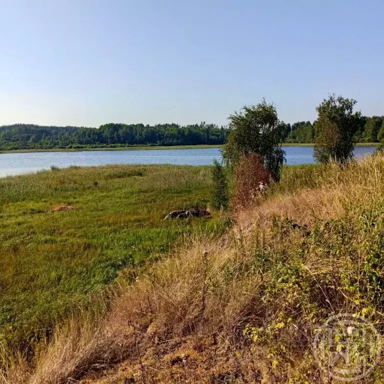 Участок в Карелия, Лахденпохский муниципальный округ, пос. Асилан  ... - Фото 2