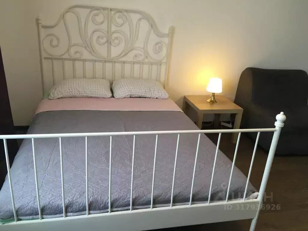 Студия Санкт-Петербург просп. Энергетиков, 11к2 (30.0 м) - Фото 0