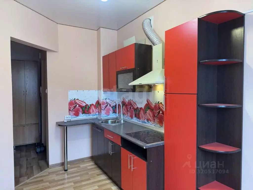 1-к кв. Алтай, Горно-Алтайск ул. Осипенко (25.7 м) - Фото 2