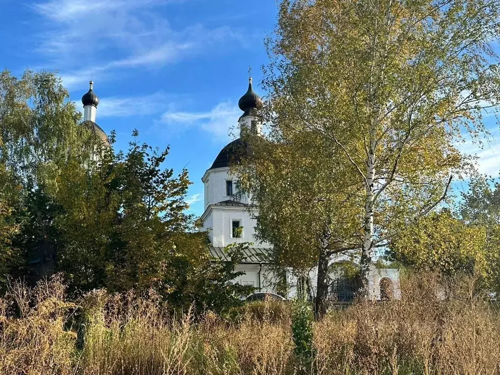 Участок в Московская область, Щелково городской округ, пос. ... - Фото 2