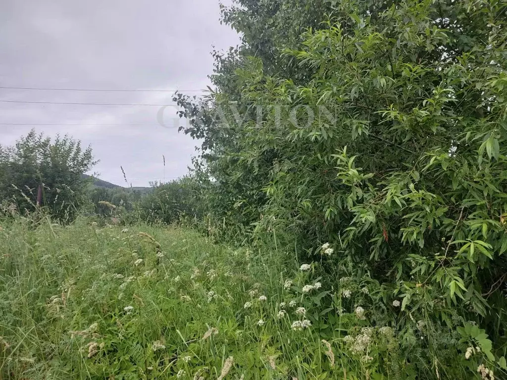 Участок в Алтай, Горно-Алтайск ГТФ СНТ,  (8.0 сот.) - Фото 1