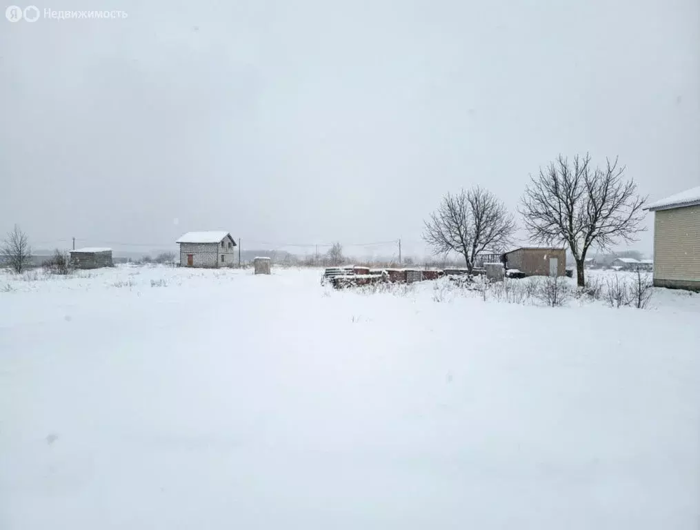 Участок в Ярославский муниципальный округ, деревня Кузнечиха ... - Фото 1