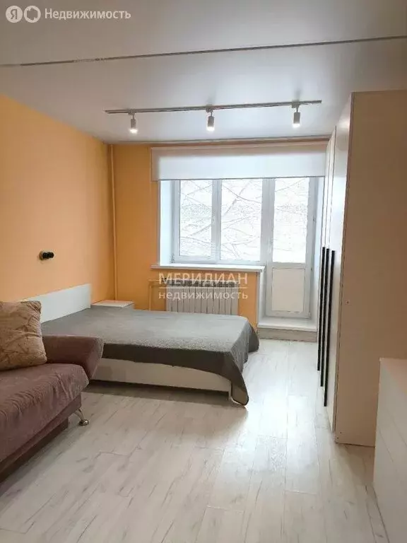 1-комнатная квартира: Нижний Новгород, улица Белинского, 89 (29.8 м) - Фото 1