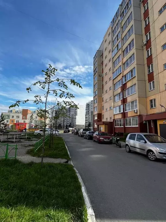 Квартира-студия, 24,5 м, 8/10 эт. - Фото 0