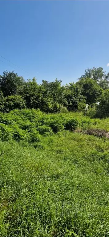 Участок в Краснодарский край, Апшеронский район, Кабардинское с/пос, ... - Фото 1