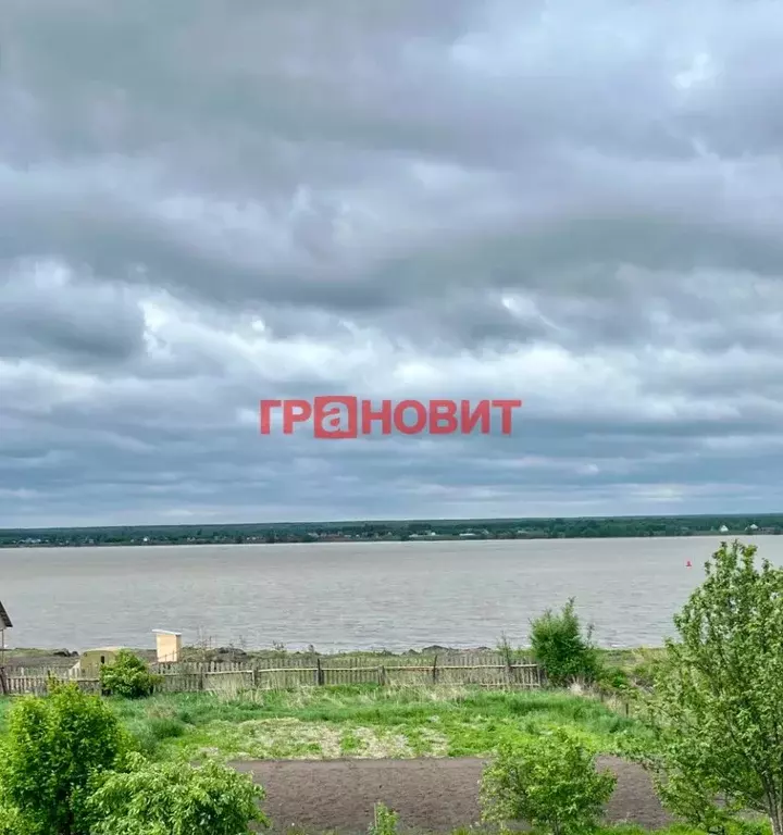 Участок в Новосибирская область, Ордынский район, с. Спирино ул. ... - Фото 1