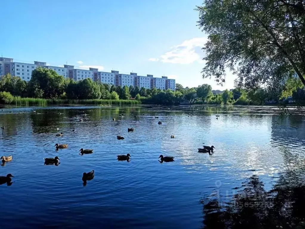 1-к кв. Татарстан, Казань ул. Маршала Чуйкова, 31 (40.0 м) - Фото 1