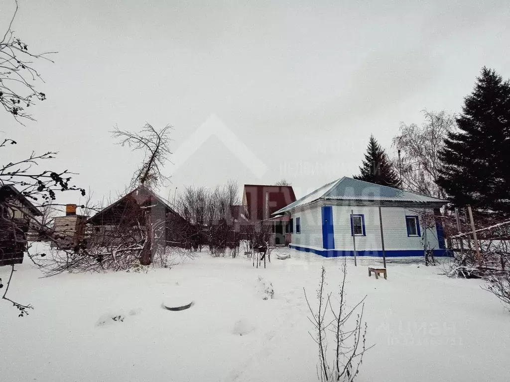 Дом в Алтайский край, Рубцовский район, Безрукавский сельсовет, с. ... - Фото 2