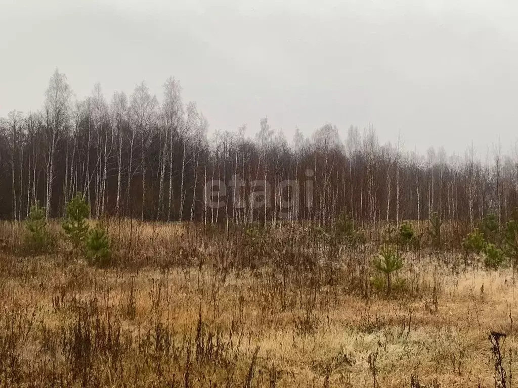 Участок в Татарстан, Пестречинский район, Шигалеевское с/пос, с. Новое ... - Фото 1