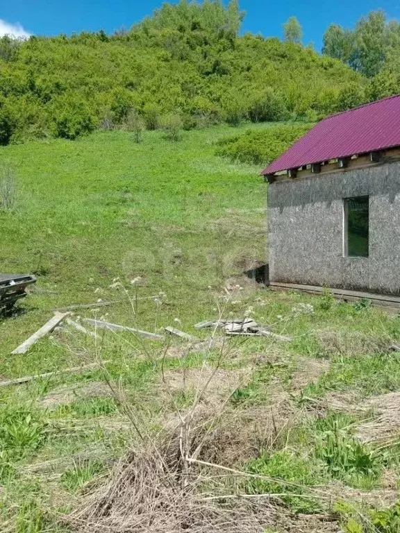 Участок в Алтай, Чойский район, с. Сугул Поселковая ул. (24.1 сот.) - Фото 1