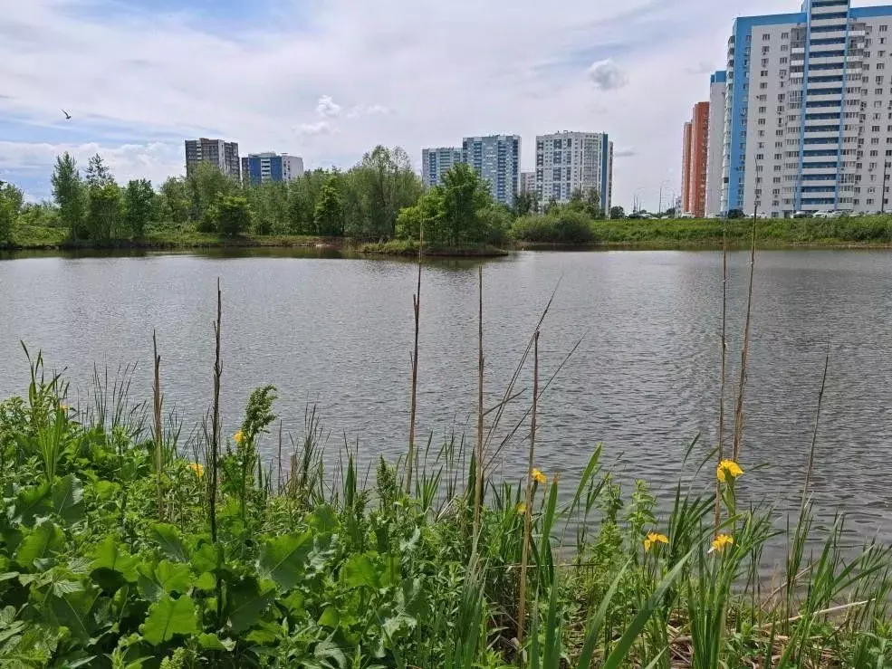 Участок в Самарская область, Самара Раздольная ул., 73 (10.0 сот.) - Фото 0