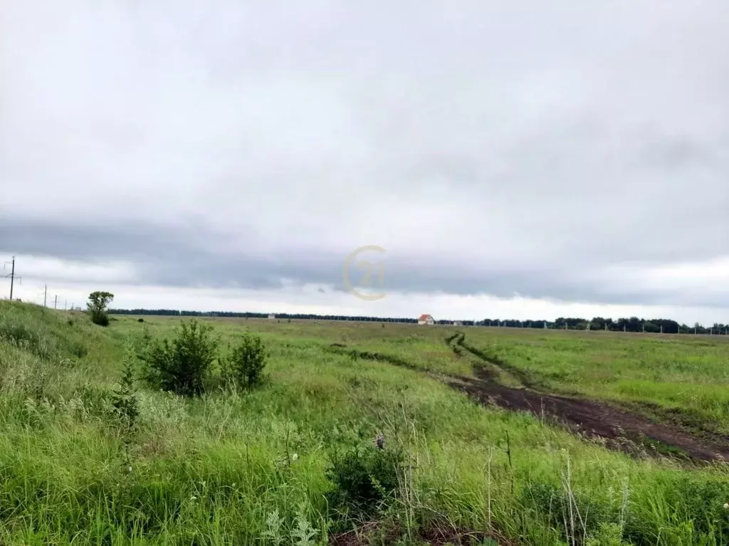 Участок в Тамбовская область, Тамбовский муниципальный округ, д. ... - Фото 2