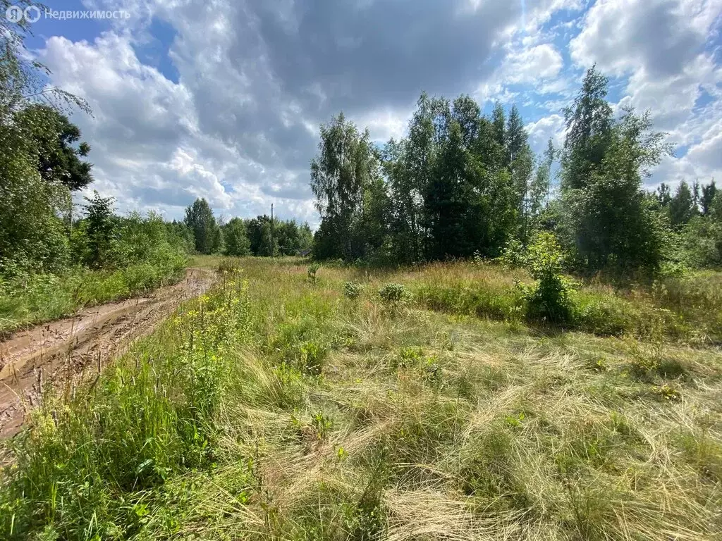 Участок в Гдовский район, Спицинская волость, деревня Подолешье (17.6 ... - Фото 2