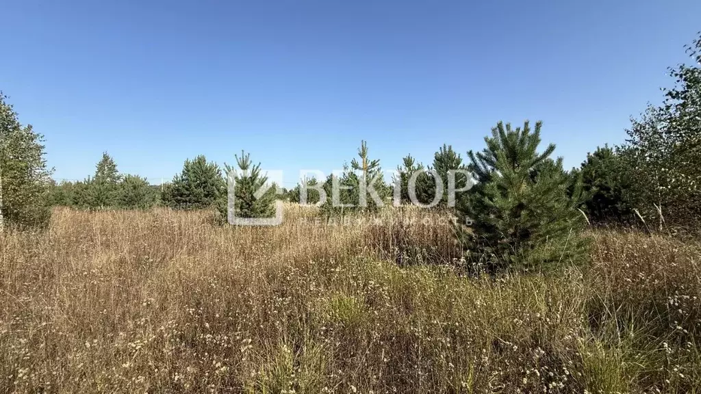 Участок в Костромская область, Кострома Первый кп,  (10.0 сот.) - Фото 2
