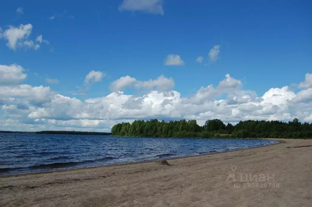 Дом в Карелия, Медвежьегорский район, с. Великая Губа  (80 м) - Фото 1