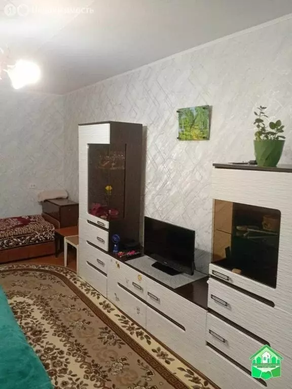 1-комнатная квартира: Ярославль, улица Кривова, 55 (31.2 м) - Фото 1