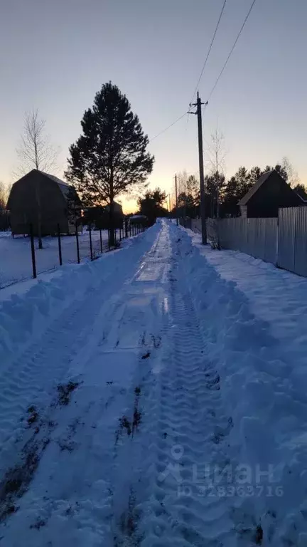 Участок в Новосибирская область, Ордынский район, Локомотив СНТ  (12.0 ... - Фото 2