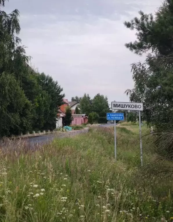 Участок в Московская область, Богородский городской округ, д. Пашуково ... - Фото 1