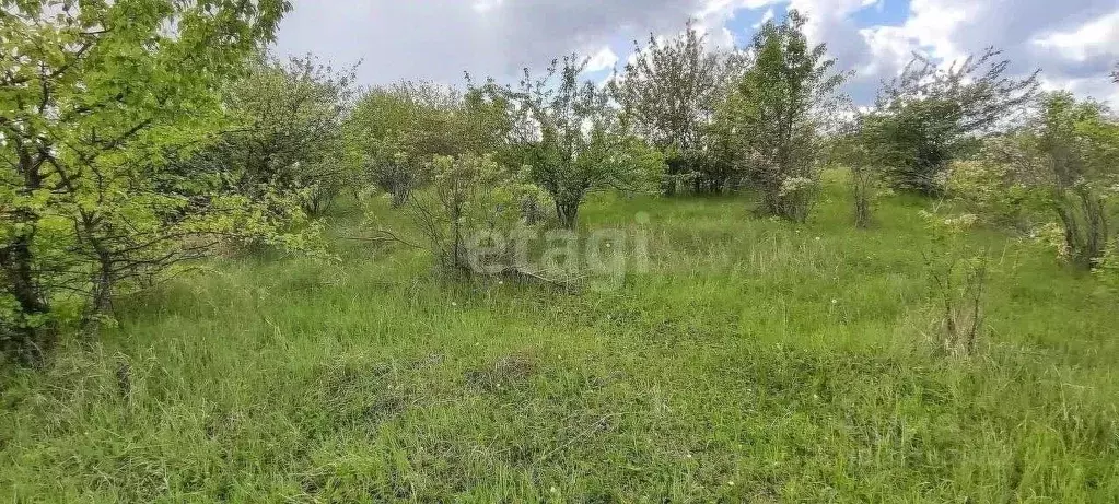 Участок в Воронежская область, Рамонский район, Русскогвоздевское ... - Фото 0