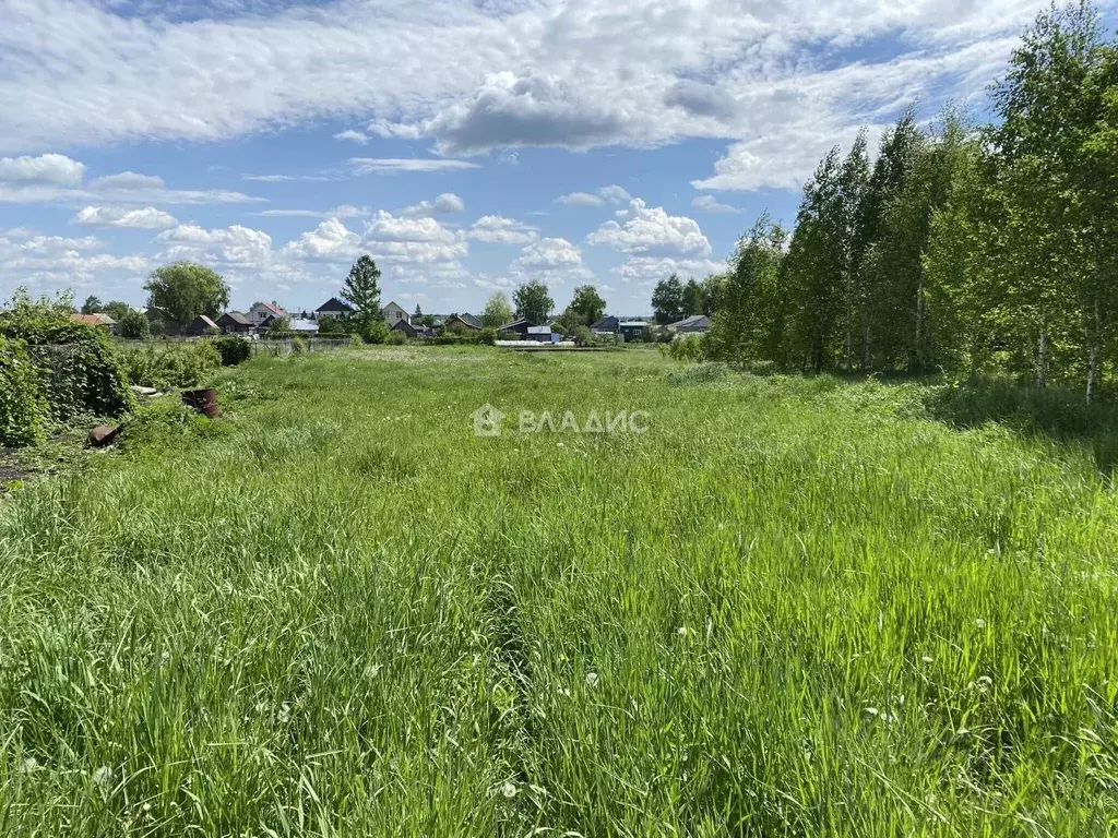 Участок в Пензенская область, с. Бессоновка ул. Бакунина, 8 (25.0 ... - Фото 1