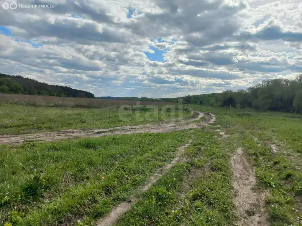 Участок в Тульская область, муниципальное образование Тула, село ... - Фото 1