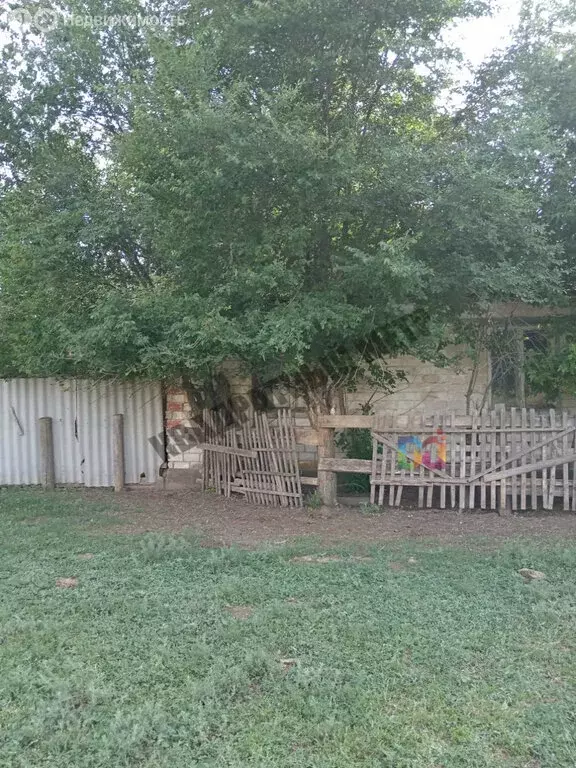 Дом в Коробкин, улица Деликова (48.8 м) - Фото 0