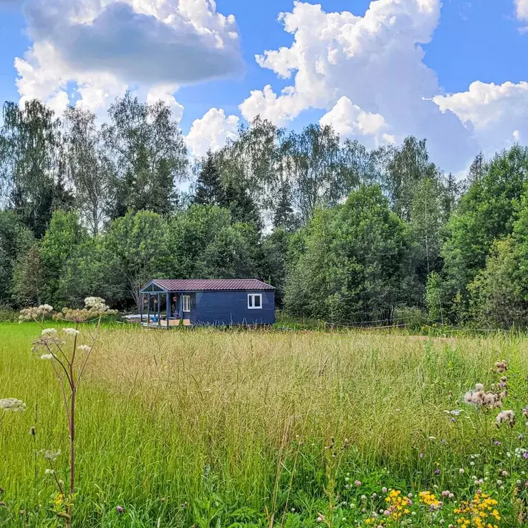 Купить Землю В Дмитровском Районе Ижс