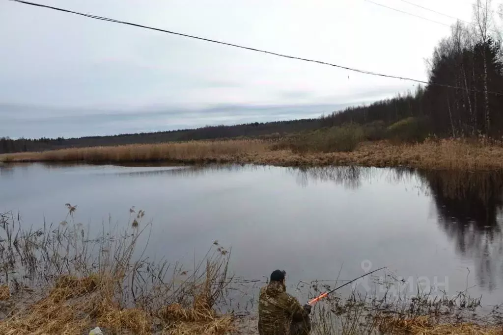 Участок в Тверская область, Осташковский муниципальный округ, д. ... - Фото 1