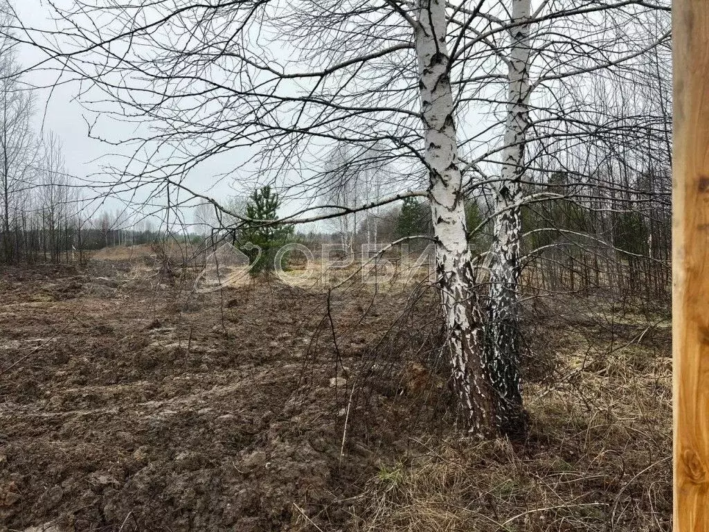 Участок 7 сот. (ИЖС) - Фото 0