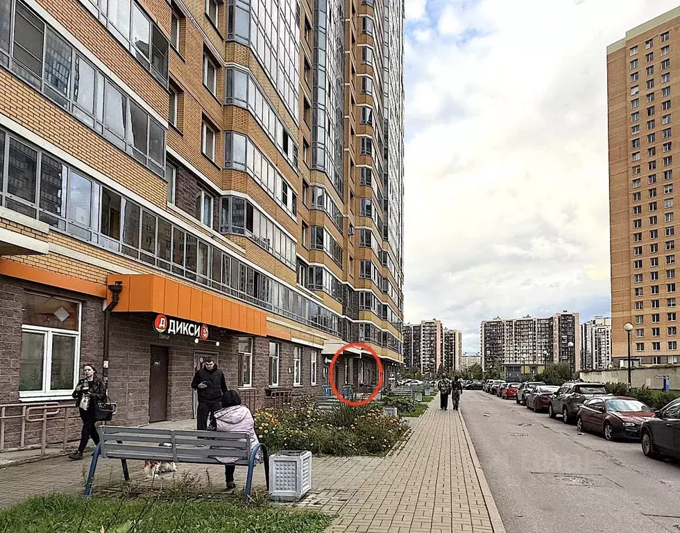 Помещение свободного назначения в Ленинградская область, Мурино ... - Фото 2