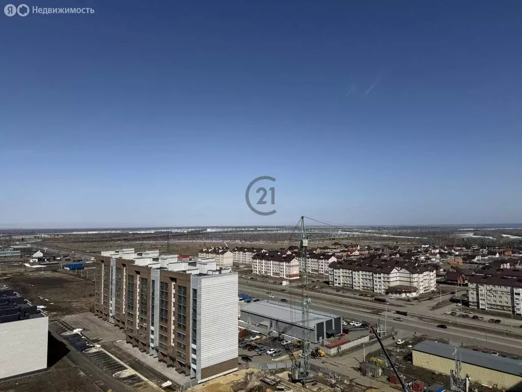 2-комнатная квартира: деревня Крутые Выселки, улица Ю. А. Жоголева, 3 ... - Фото 2