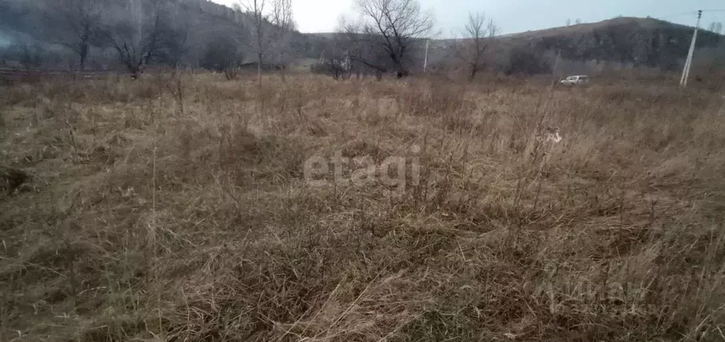 Участок в Алтайский край, Алтайский район, Айский сельсовет, с. Ая ул. ... - Фото 1