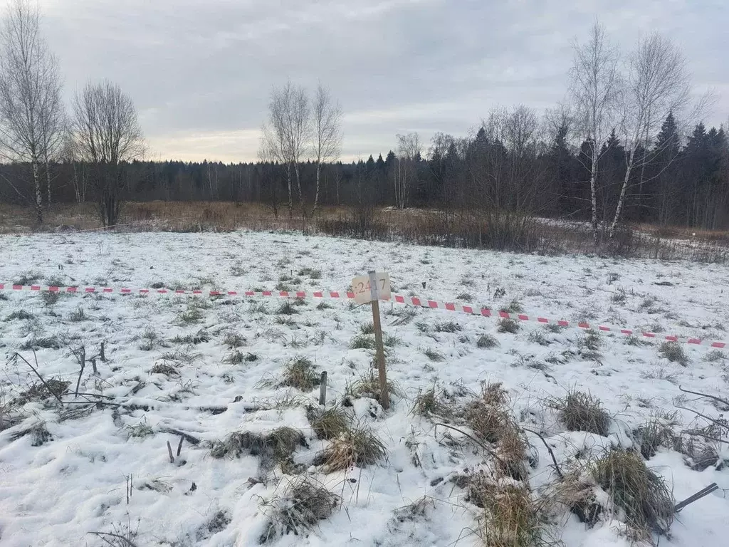 Участок в Московская область, Клин городской округ, д. Марфино бул. ... - Фото 1