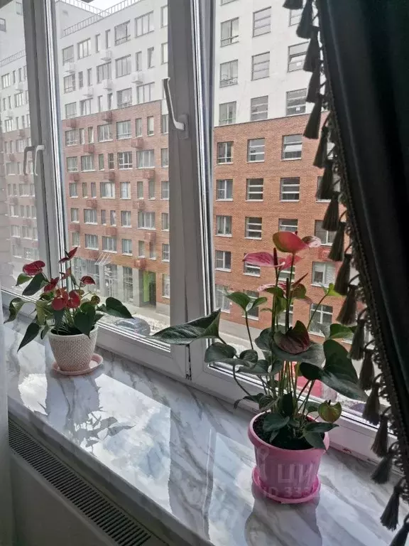 1-к кв. Московская область, Люберцы городской округ, Красково пгт ш. ... - Фото 1