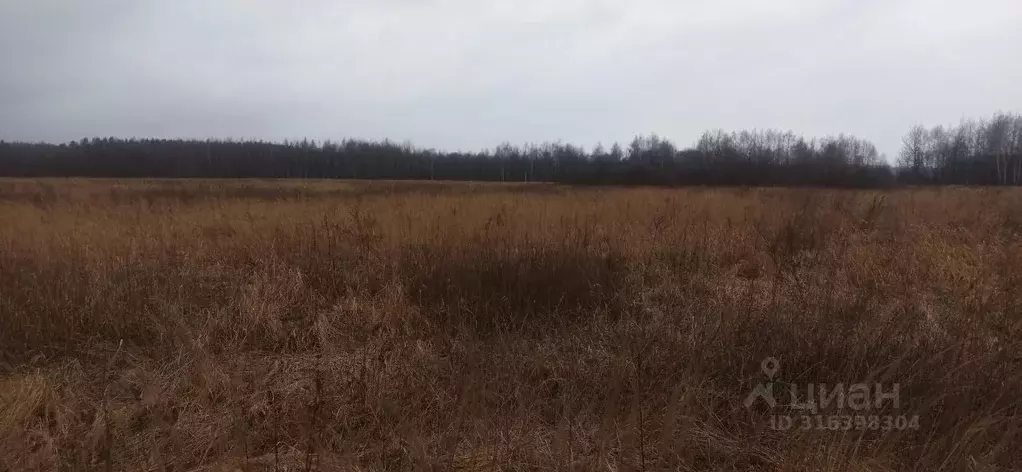 Участок в Московская область, Шатура  (14.6 сот.) - Фото 0