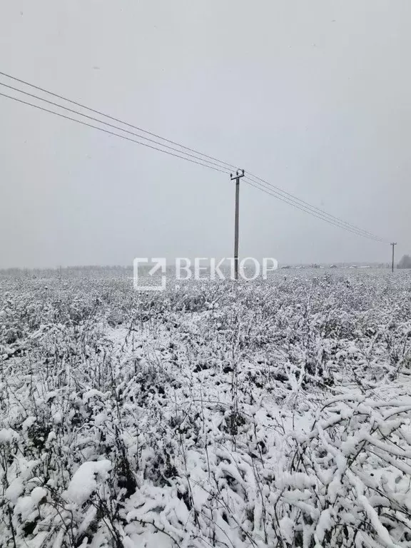 Участок в Ивановская область, Ивановский муниципальный округ, д. ... - Фото 1