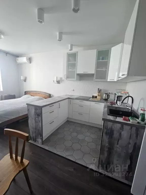 Студия Санкт-Петербург пос. Парголово, Заречная ул., 17 (27.3 м) - Фото 1