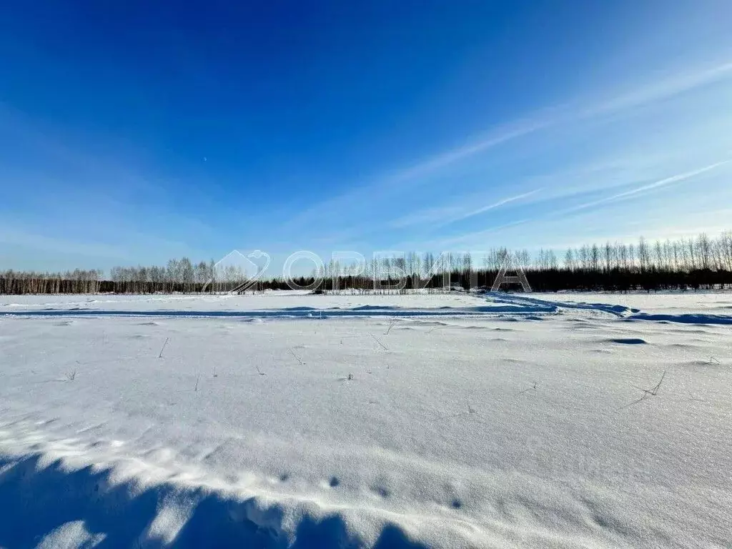 Участок в Тюменская область, Тюменский район, с. Горьковка Сибирская ... - Фото 0