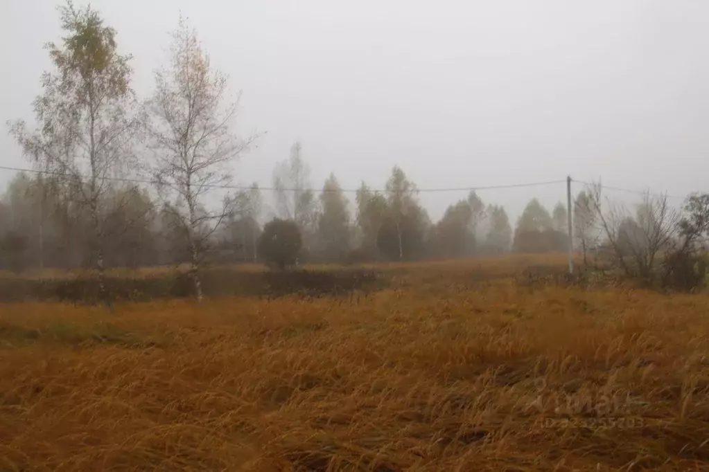 Участок в Московская область, Шаховская муниципальный округ, д. ... - Фото 1