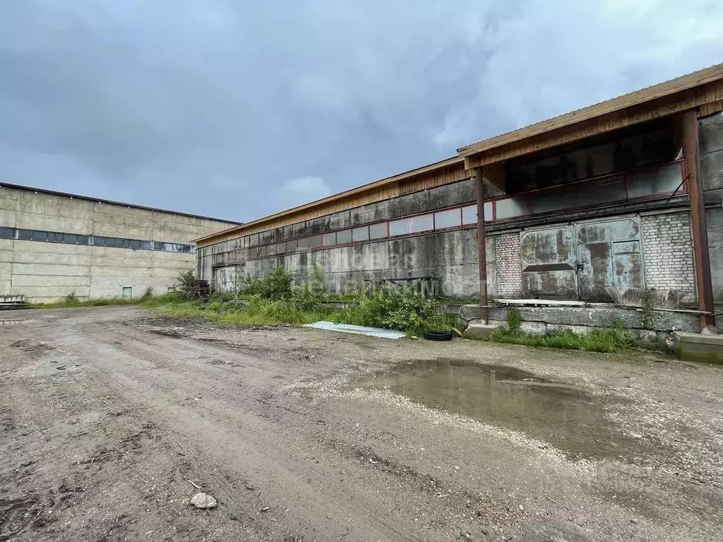 Склад в Новгородская область, Великий Новгород Нехинская ул., 57Г (216 ... - Фото 1
