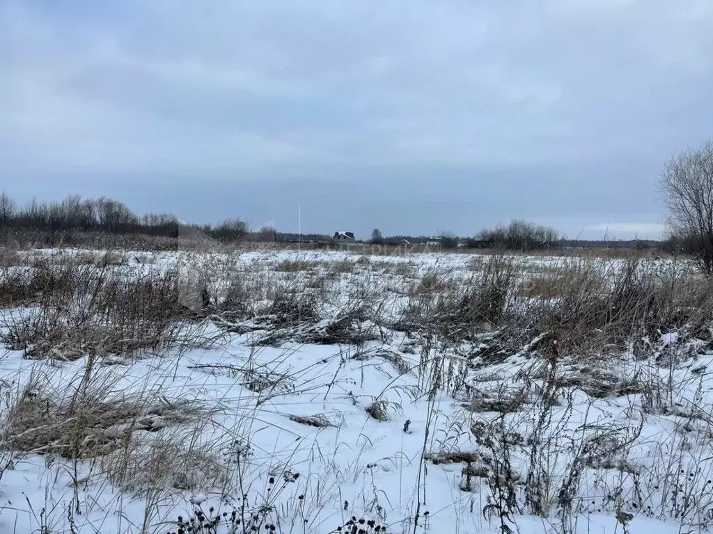Участок в Тюменская область, Нижнетавдинский район, Строитель ТСН  ... - Фото 1