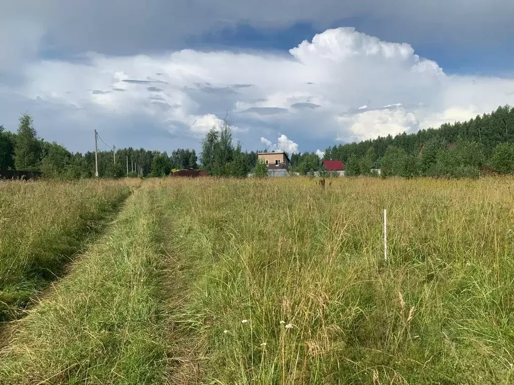 Участок в Тверская область, Конаковский муниципальный округ, Деревня ... - Фото 0