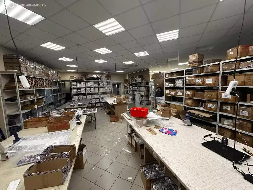 Помещение свободного назначения (1000 м) - Фото 2